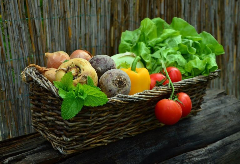 vegetables, vegetable basket, harvest